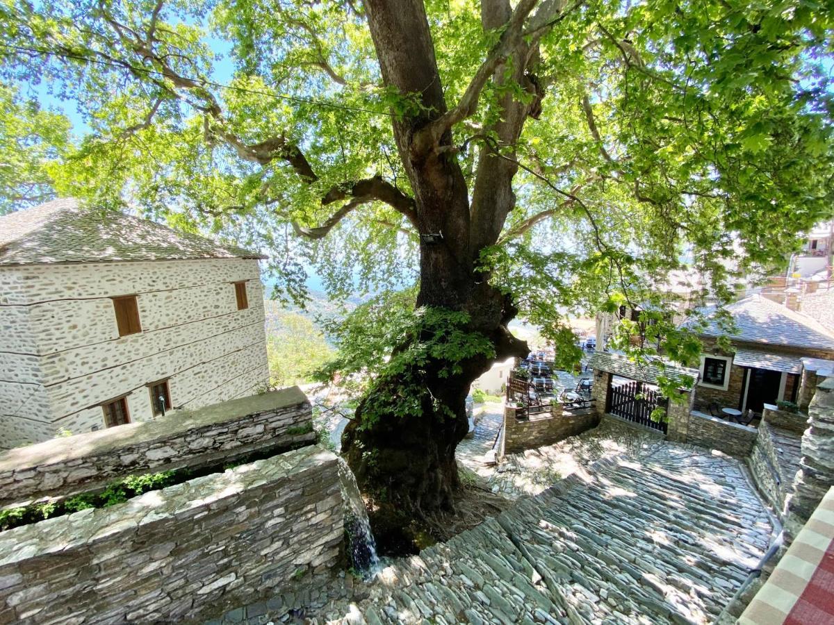 Archontika Karamarlis Hotel Makrinitsa Bagian luar foto